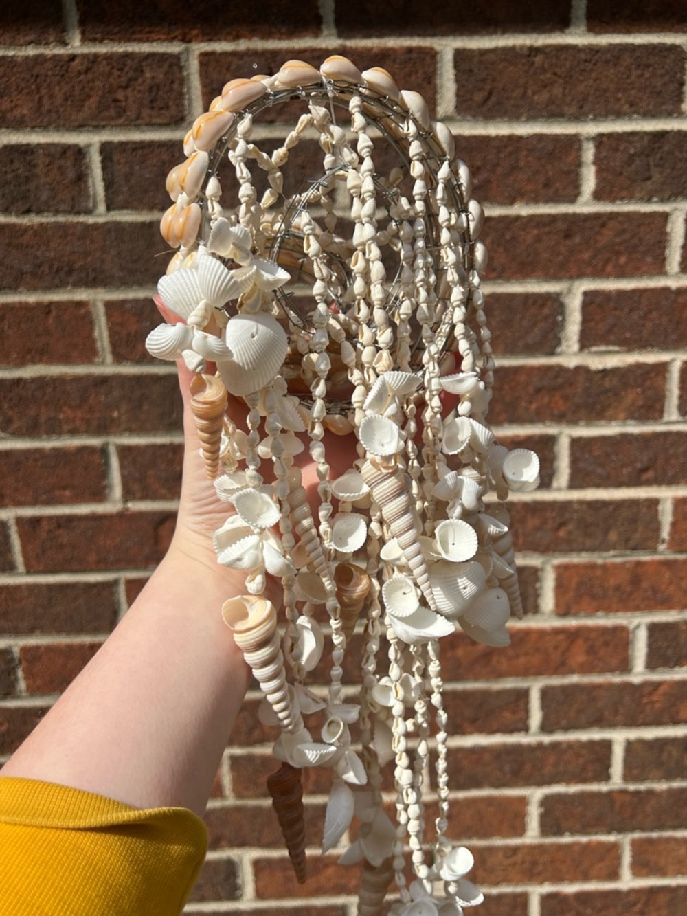 Shell chandelier - Picture 16 of 16